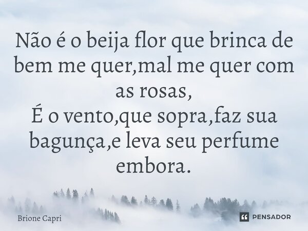 Não é o beija flor que brinca de bem me quer,mal me quer com as rosas,⁠ É o vento,que sopra,faz sua bagunça,e leva seu perfume embora.... Frase de Brione Capri.