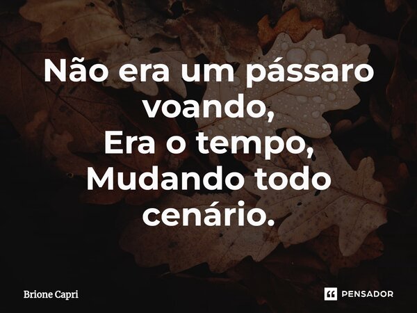 ⁠Não era um pássaro voando, Era o tempo, Mudando todo cenário.... Frase de Brione Capri.