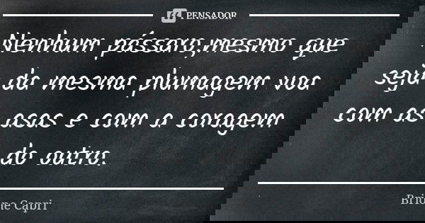 Nenhum pássaro,mesmo que seja da mesma plumagem voa com as asas e com a coragem do outro.... Frase de Brione Capri.