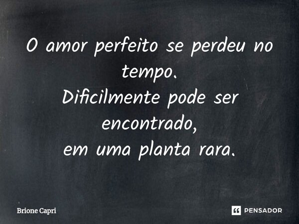 ⁠O amor perfeito se perdeu no tempo. Dificilmente pode ser encontrado, em uma planta rara.... Frase de Brione Capri.
