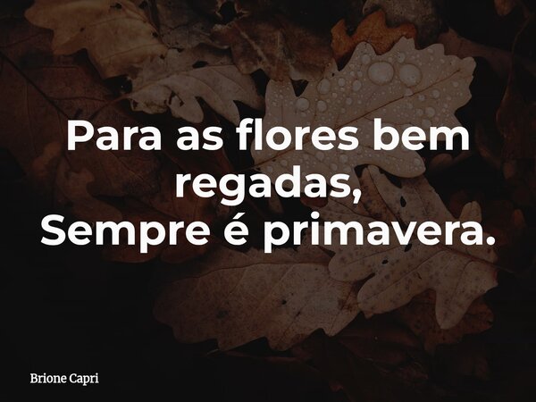 Para as flores bem regadas, Sempre é primavera.... Frase de Brione Capri.