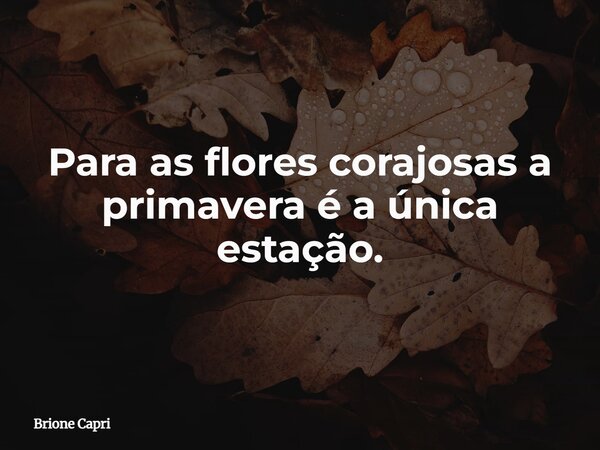 Para as flores corajosas a primavera é a única estação.... Frase de Brione Capri.
