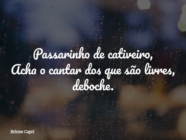 Passarinho de cativeiro, Acha o cantar dos que são livres, deboche.... Frase de Brione Capri.