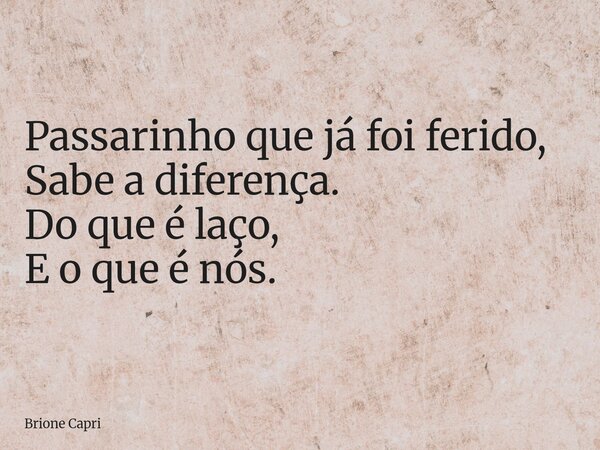 Passarinho que já foi ferido, Sabe a diferença. Do que é laço, E o que é nós.... Frase de Brione Capri.