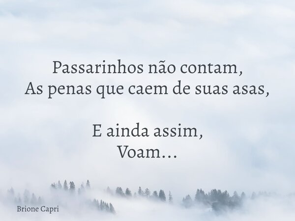 Passarinhos não contam, As penas que caem de suas asas, E ainda assim, Voam...... Frase de Brione Capri.