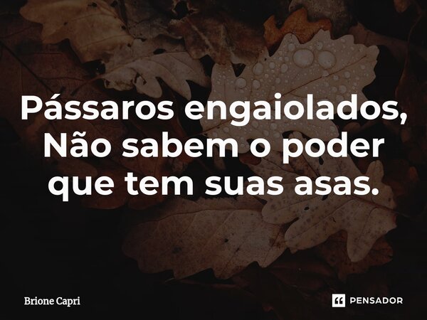 Pássaros engaiolados, Não sabem o poder que tem suas asas.... Frase de Brione Capri.