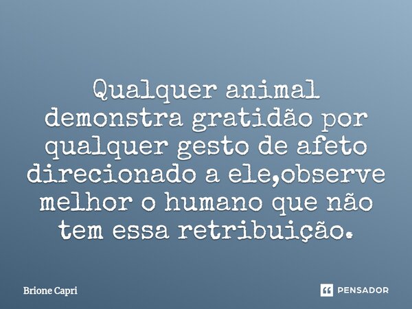 Qualquer animal demonstra gratidão por qualquer gesto de afeto direcionado ⁠a ele,observe melhor o humano que não tem essa retribuição.... Frase de Brione Capri.