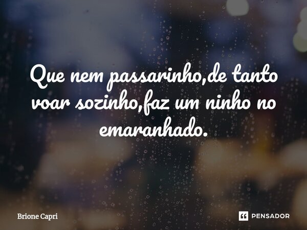 ⁠Que nem passarinho,de tanto voar sozinho,faz um ninho no emaranhado.... Frase de Brione Capri.