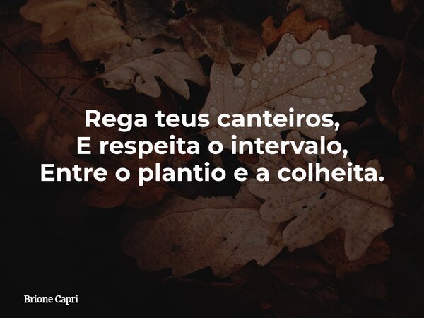 Rega teus canteiros, E respeita o intervalo, Entre o plantio e a colheita.... Frase de Brione Capri.