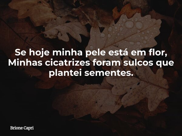 Se hoje minha pele está em flor, Minhas cicatrizes foram sulcos que plantei sementes.... Frase de Brione Capri.