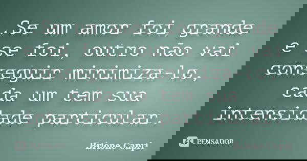 .Se um amor foi grande e se foi, outro não vai conseguir minimiza-lo, cada um tem sua intensidade particular.... Frase de Brione Capri.