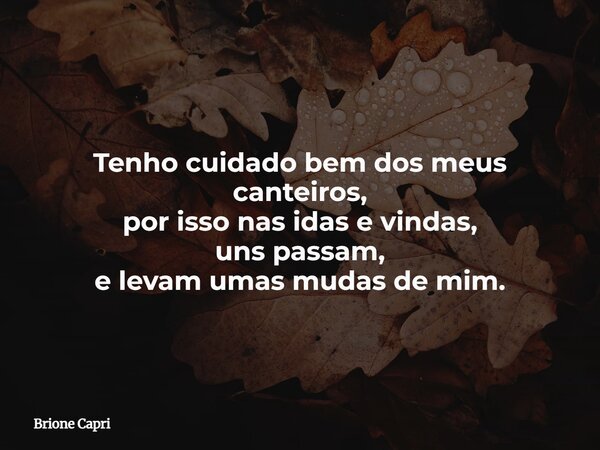 Tenho cuidado bem dos meus canteiros, por isso nas idas e vindas, uns passam, e levam umas mudas de mim.... Frase de Brione Capri.