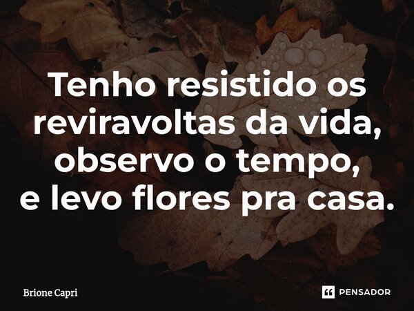 Tenho resistido os reviravoltas da vida, ⁠observo o tempo, e levo flores pra casa.... Frase de Brione Capri.