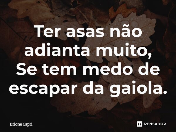 ⁠Ter asas não adianta muito, Se tem medo de escapar da gaiola.... Frase de Brione Capri.