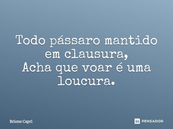 ⁠Todo pássaro mantido em clausura, Acha que voar é uma loucura.... Frase de Brione Capri.