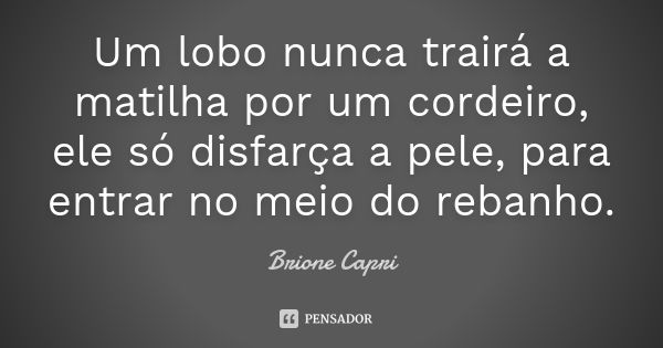 Um lobo nunca trairá a matilha por um cordeiro, ele só disfarça a pele, para entrar no meio do rebanho.... Frase de Brione Capri.