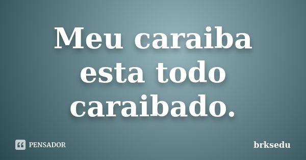 Meu caraiba esta todo caraibado.... Frase de brksedu.