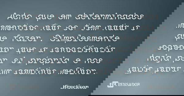 Acho que em determinados momentos não se tem nada o que fazer. Simplesmente esperar que a consciência haja por si própria e nos guie para um caminho melhor.... Frase de Bruckson.