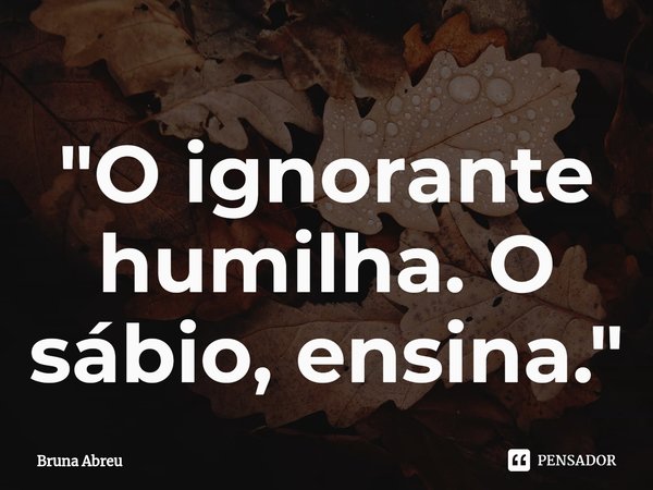 ⁠"O ignorante humilha. O sábio, ensina."... Frase de Bruna Abreu.