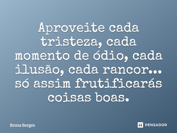 Aproveite cada tristeza, cada momento de ódio, cada ilusão, cada rancor... só assim frutificarás coisas boas.... Frase de Bruna Borges.