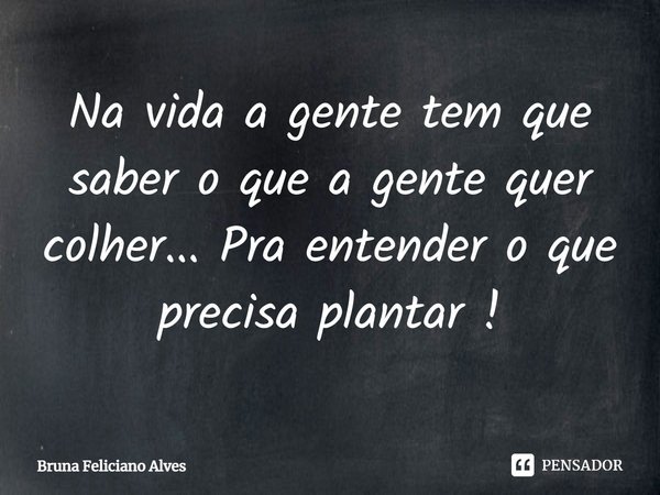 ⁠Na vida a gente tem que saber o que a gente quer colher... Pra entender o que precisa plantar !... Frase de Bruna Feliciano Alves.