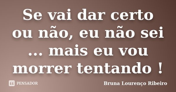 Se vai dar certo ou não, eu não sei ... mais eu vou morrer tentando !... Frase de Bruna Lourenço Ribeiro.
