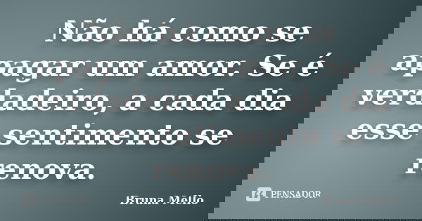 Não há como se apagar um amor. Se é verdadeiro, a cada dia esse sentimento se renova.... Frase de Bruna Mello.
