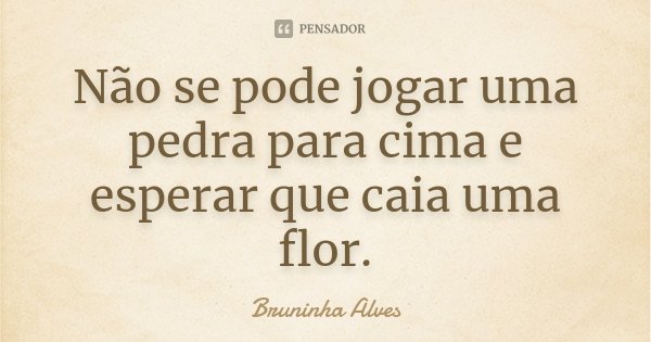 Não se pode jogar uma pedra para cima e esperar que caia uma flor.... Frase de Bruninha Alves.