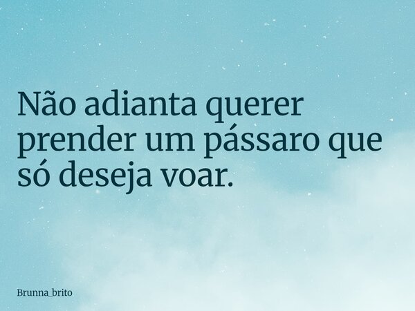 Não adianta querer prender um pássaro que só deseja voar.... Frase de Brunna_brito.