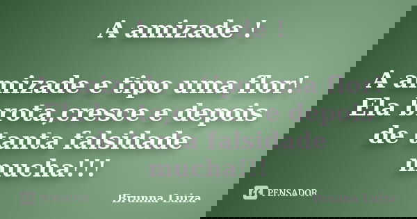 A amizade ! A amizade e tipo uma flor! Ela brota,cresce e depois de tanta falsidade mucha!!!... Frase de Brunna Luiza.