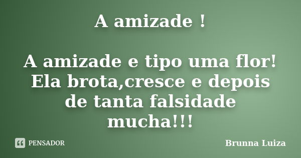 A amizade ! A amizade e tipo uma flor! Ela brota,cresce e depois de tanta falsidade mucha!!!... Frase de Brunna Luiza.