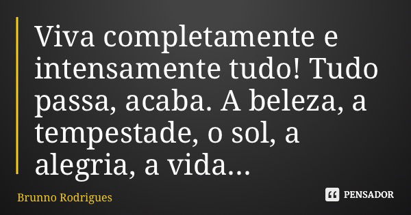 Viva completamente e intensamente tudo! Tudo passa, acaba. A beleza, a tempestade, o sol, a alegria, a vida...... Frase de Brunno Rodrigues.