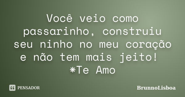 Você veio como passarinho, construiu seu ninho no meu coração e não tem mais jeito! *Te Amo... Frase de BrunnoLisboa.