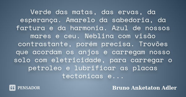 Verde das matas, das ervas, da esperança. Amarelo da sabedoria, da fartura e da harmonia. Azul de nossos mares e ceu. Neblina com visão contrastante, porém prec... Frase de Bruno Anketaton Adler.