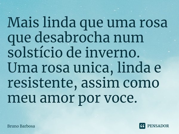 ⁠Mais linda que uma rosa que desabrocha num solstício de inverno. Uma rosa unica, linda e resistente, assim como meu amor por voce.... Frase de Bruno Barbosa.