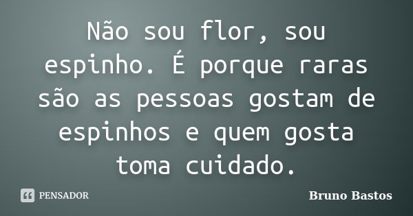 Não sou flor, sou espinho. É porque raras são as pessoas gostam de espinhos e quem gosta toma cuidado.... Frase de Bruno Bastos.