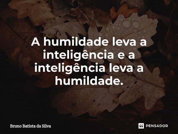 ⁠A humildade leva a inteligência e a inteligência leva a humildade.... Frase de Bruno Batista da Silva.