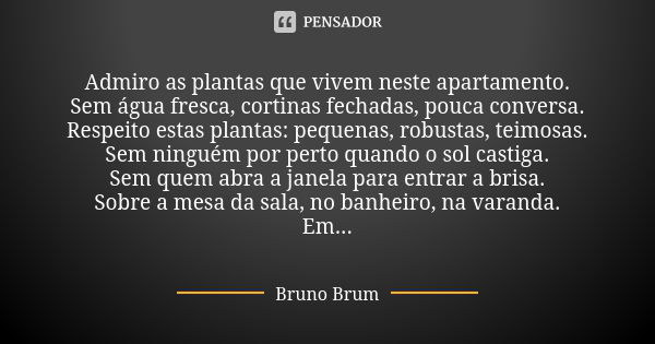 Admiro as plantas que vivem neste apartamento. Sem água fresca, cortinas fechadas, pouca conversa. Respeito estas plantas: pequenas, robustas, teimosas. Sem nin... Frase de Bruno Brum.