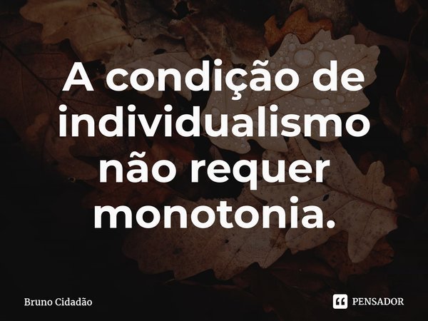 ⁠A condição de individualismo não requer monotonia.... Frase de Bruno Cidadão.