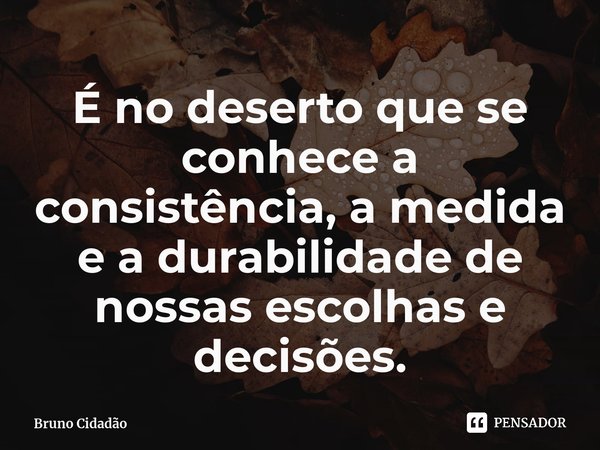 ⁠É no deserto que se conhece a consistência, a medida e a durabilidade de nossas escolhas e decisões.... Frase de Bruno Cidadão.