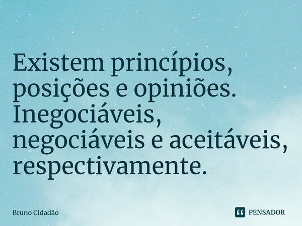 ⁠Existem princípios, posições e opiniões. Inegociáveis, negociáveis e aceitáveis, respectivamente.... Frase de Bruno Cidadão.