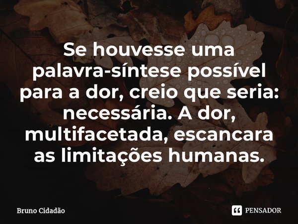 ⁠Se houvesse uma palavra-síntese possível para a dor, creio que seria: necessária. A dor, multifacetada, escancara as limitações humanas.... Frase de Bruno Cidadão.