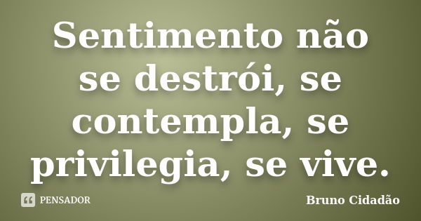 Sentimento não se destrói, se contempla, se privilegia, se vive.... Frase de Bruno Cidadão.