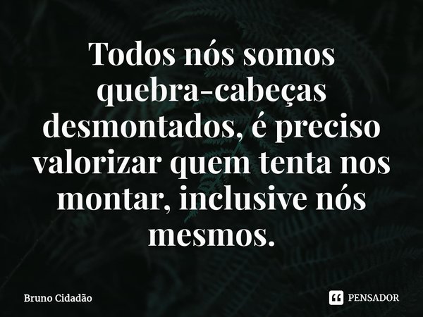 ⁠Todos nós somos quebra-cabeças desmontados, é preciso valorizar quem tenta nos montar, inclusive nós mesmos.... Frase de Bruno Cidadão.