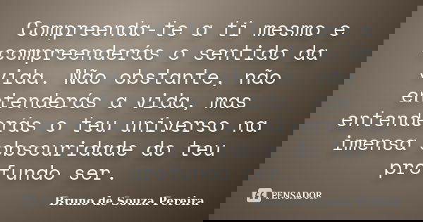 Compreenda-te a ti mesmo e compreenderás o sentido da vida. Não obstante, não entenderás a vida, mas entenderás o teu universo na imensa obscuridade do teu prof... Frase de Bruno de Souza Pereira.
