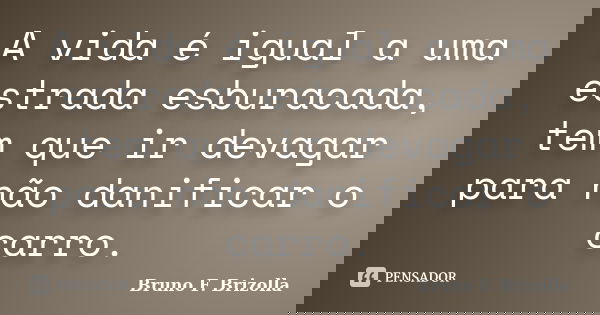 A vida é igual a uma estrada esburacada, tem que ir devagar para não danificar o carro.... Frase de Bruno F. Brizolla.