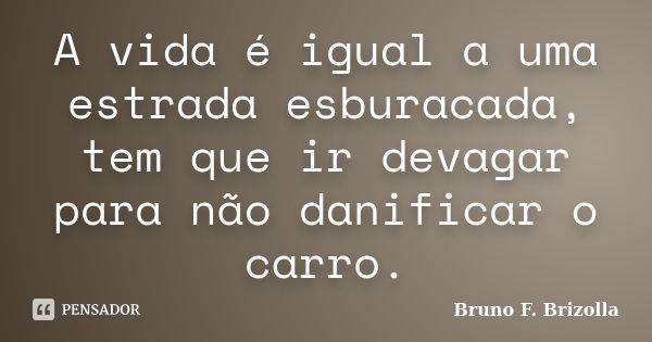 A vida é igual a uma estrada esburacada, tem que ir devagar para não danificar o carro.... Frase de Bruno F. Brizolla.