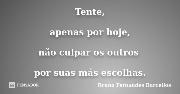 Tente, apenas por hoje, não culpar os outros por suas más escolhas.... Frase de Bruno Fernandes Barcellos.