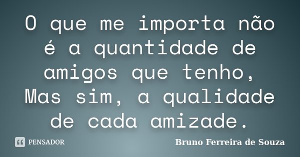 O que me importa não é a quantidade de amigos que tenho, Mas sim, a qualidade de cada amizade.... Frase de Bruno Ferreira de Souza.
