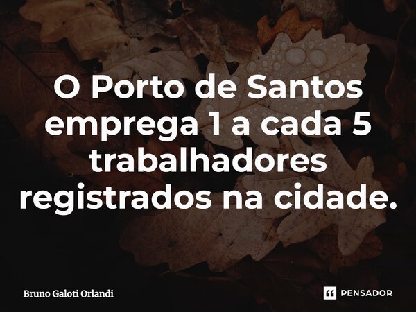 ⁠O Porto de Santos emprega 1 a cada 5 trabalhadores registrados na cidade.... Frase de Bruno Galoti Orlandi.